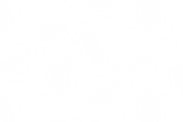 AlterEgo_Illustration_Pattern_Blanc.png