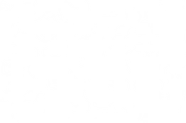 AlterEgo_Illustration_Pattern_Blanc.png