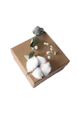 Box%20with%20cotton%20bud%20and%20dried%