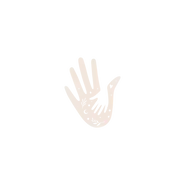AlterEgo_Illustrations_main-rose.png